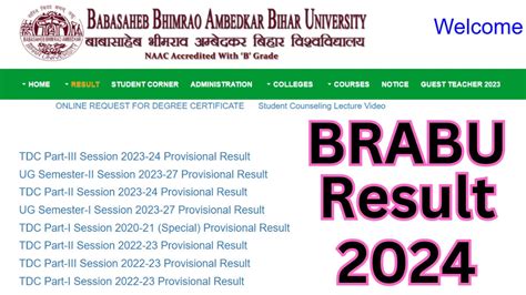 Bihar University Result 2017, Download BRABU Result 2017.